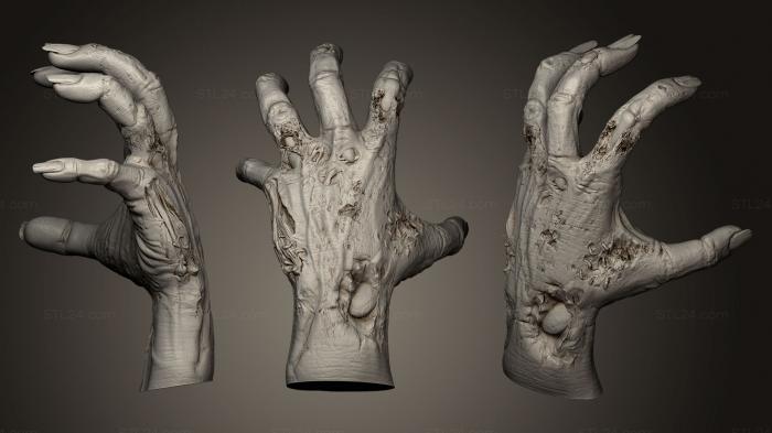 Анатомия скелеты и черепа (Monster Hand 3, ANTM_0175) 3D модель для ЧПУ станка